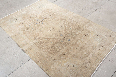 Antique Sarouk Area Rug (4' x 6')